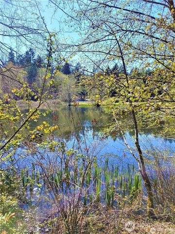 11020 Matthews Way, Anderson Island, WA 98303