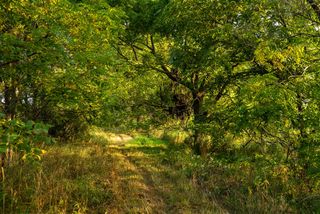 2681 Hadley Road, Lapeer, MI 48446