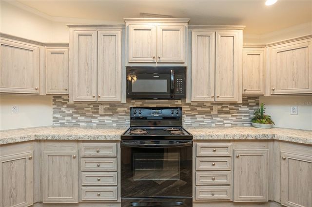 242 SKYLINE DRIVE, Lady Lake, FL 32159