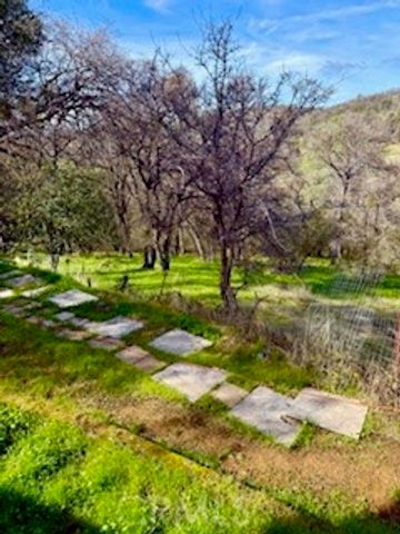 5222 dOGTOWN, Coulterville, CA 95311