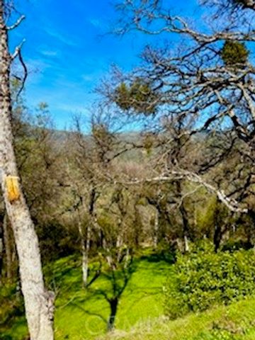 5222 dOGTOWN, Coulterville, CA 95311