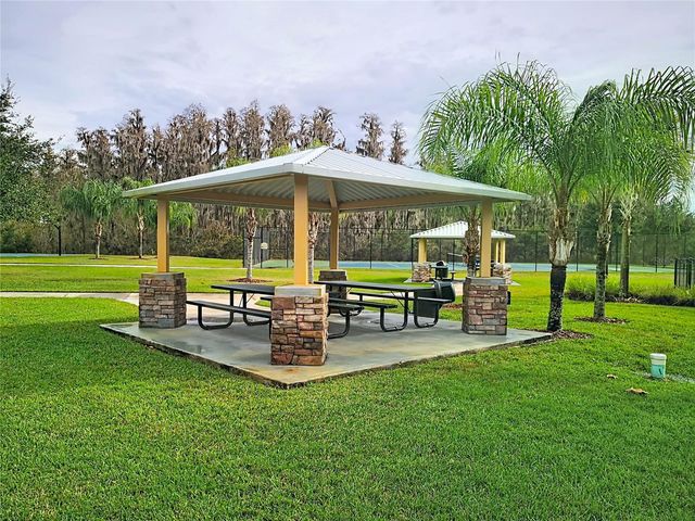 10645 MISTFLOWER LANE, Tampa, FL 33647