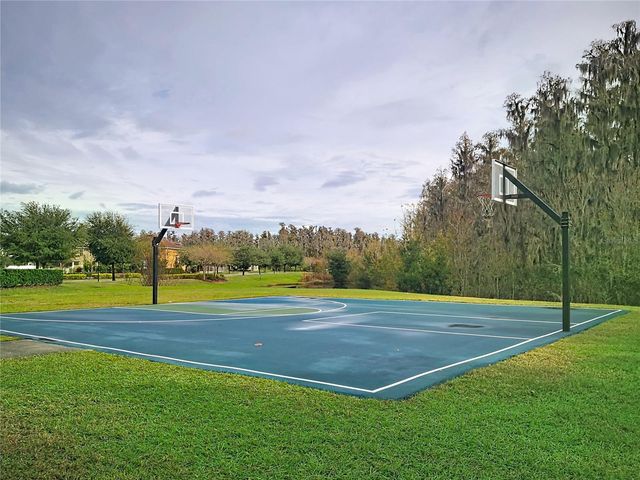 10645 MISTFLOWER LANE, Tampa, FL 33647