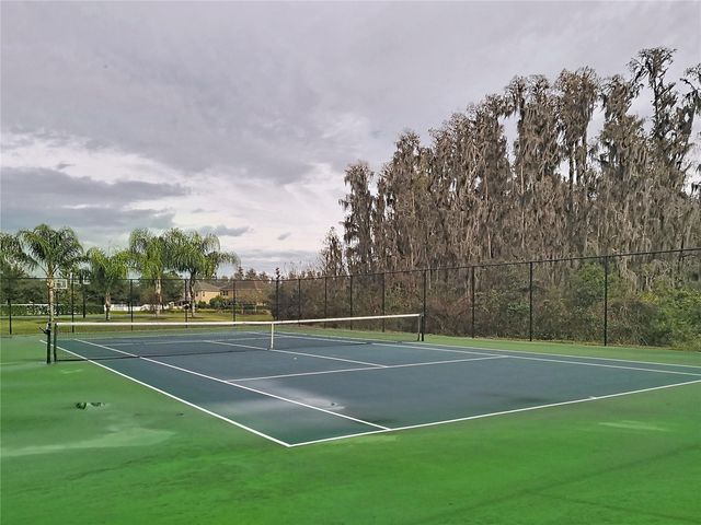 10645 MISTFLOWER LANE, Tampa, FL 33647