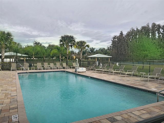 10645 MISTFLOWER LANE, Tampa, FL 33647