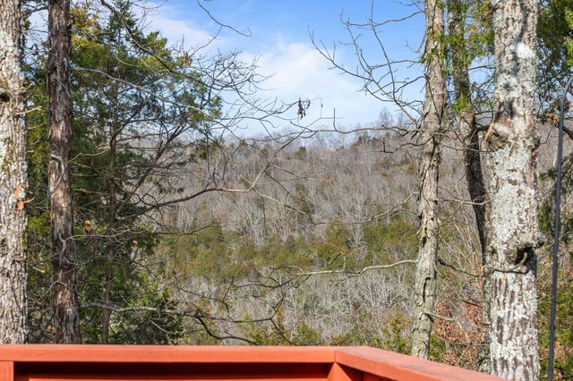 321 Southwoods Way, Branson, MO 65616