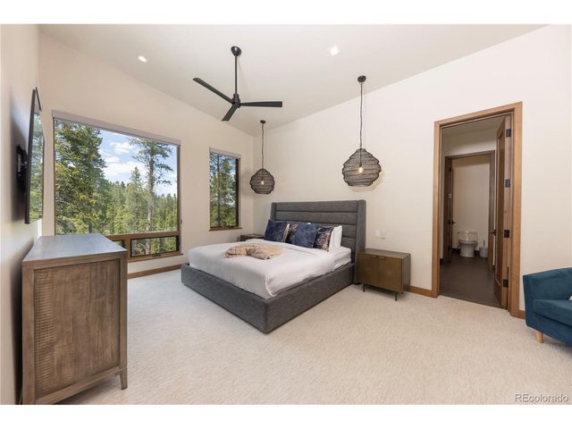 111 Burro Ln, Breckenridge, CO 80424