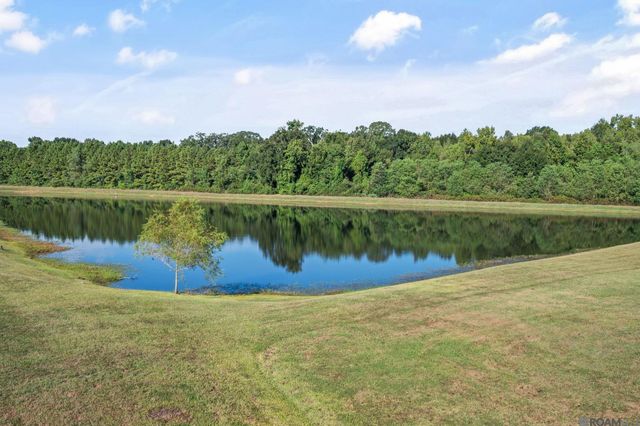 21049 High Plains Dr, Zachary, LA 70791