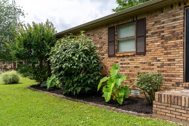 339 Cody Cooper Road, Ledbetter, KY 42058