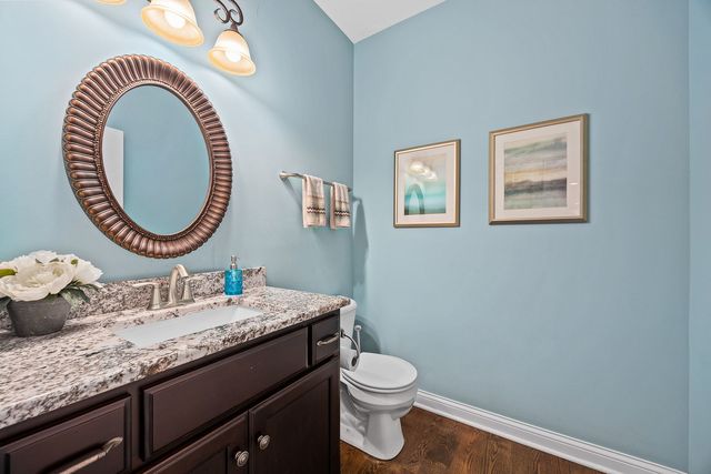 4211 Chinaberry Lane, Naperville, IL 60564