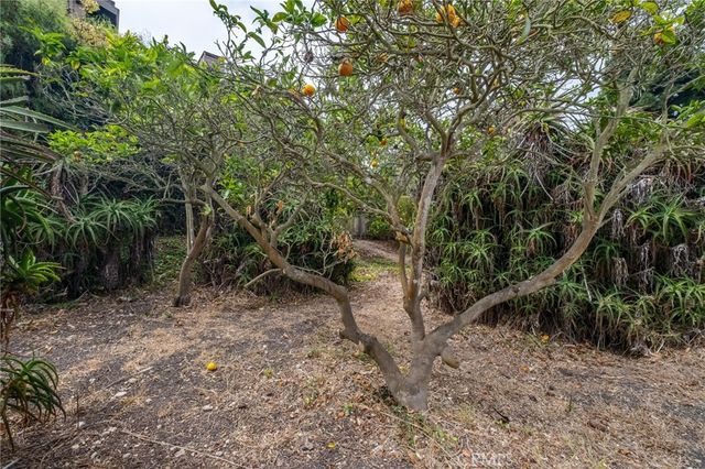 2825 Via Anacapa, Palos Verdes Estates, CA 90274