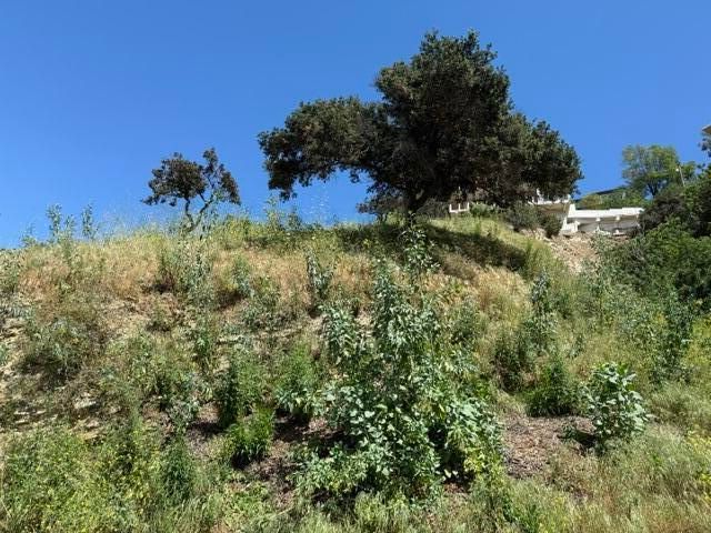 3800 Knobhill Drive, Sherman Oaks, CA 91423