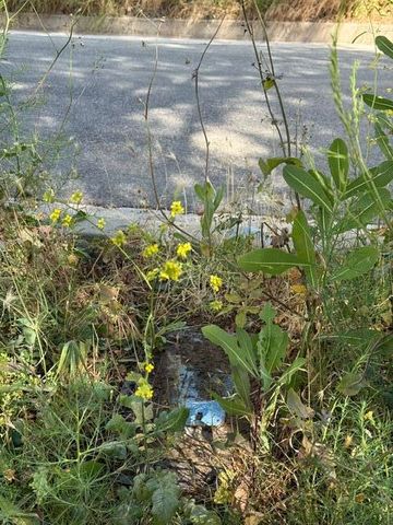 3800 Knobhill Drive, Sherman Oaks, CA 91423