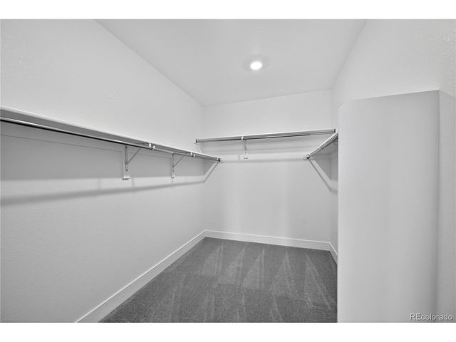 3296 Fervid St, Castle Rock, CO 80108