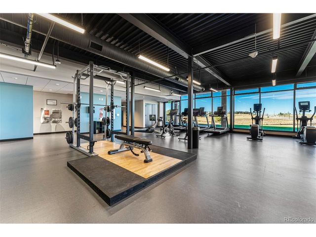 3296 Fervid St, Castle Rock, CO 80108