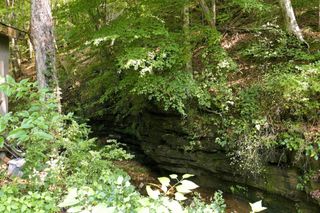 2024 Powdermill Hill Rd, Lawrenceburg, TN 38464