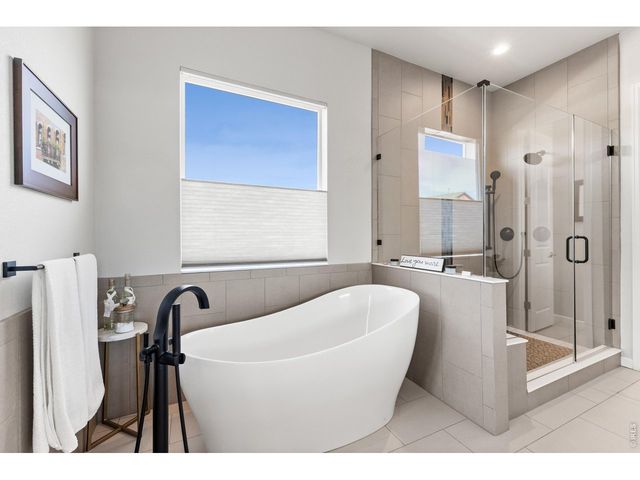 586 Greenspire Dr, Windsor, CO 80550