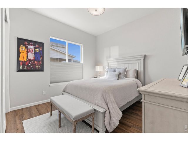 586 Greenspire Dr, Windsor, CO 80550