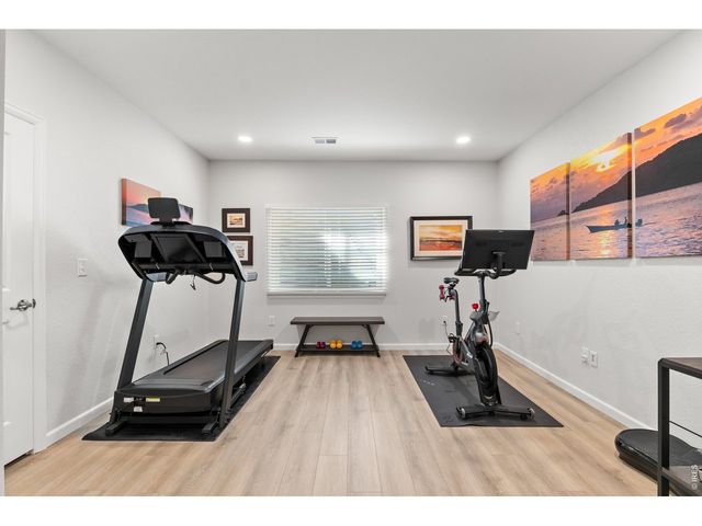 586 Greenspire Dr, Windsor, CO 80550