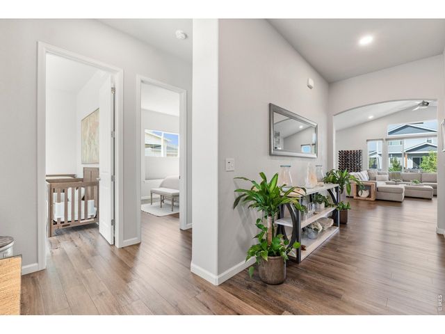 586 Greenspire Dr, Windsor, CO 80550