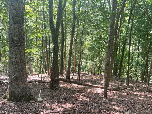 LOT 24 RIVER ROCK RD, Vinton, VA 24179