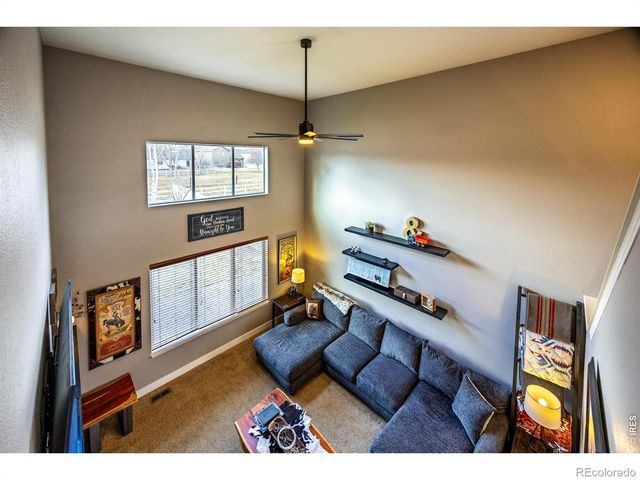 421 Wrybill Court, Loveland, CO 80537