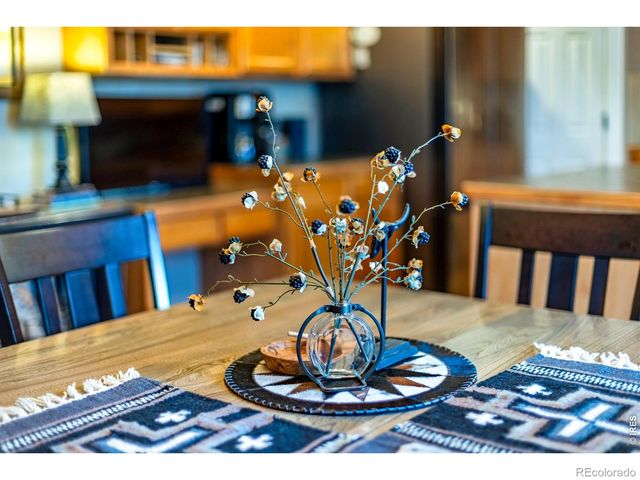 421 Wrybill Court, Loveland, CO 80537