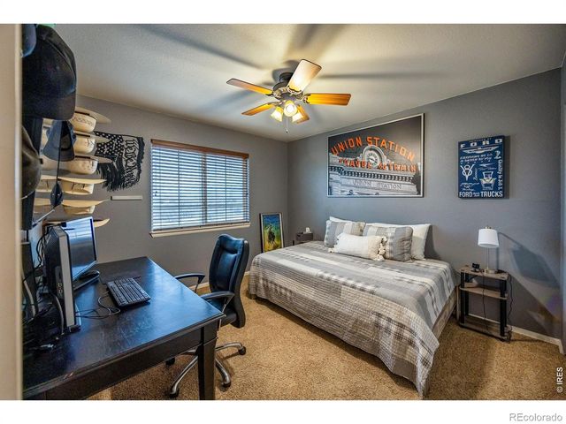 421 Wrybill Court, Loveland, CO 80537