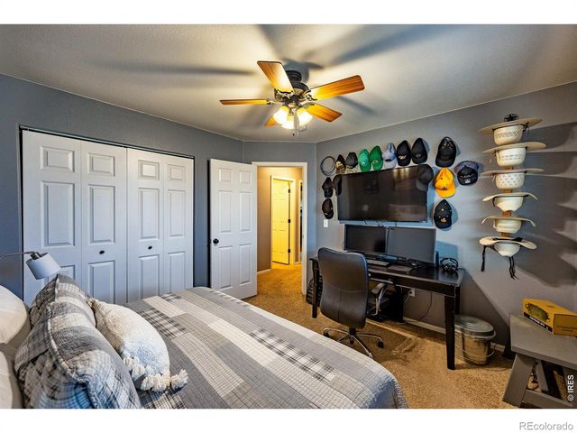 421 Wrybill Court, Loveland, CO 80537