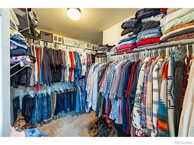 421 Wrybill Court, Loveland, CO 80537