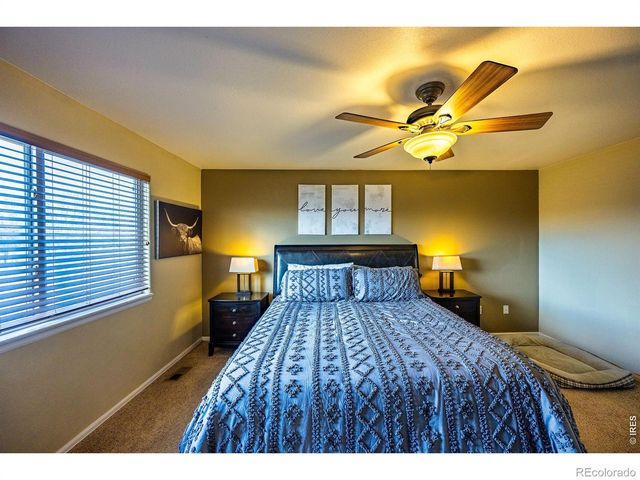 421 Wrybill Court, Loveland, CO 80537