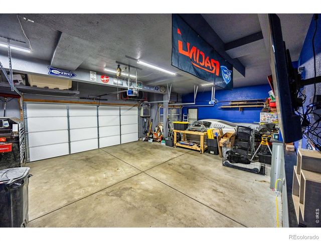 421 Wrybill Court, Loveland, CO 80537