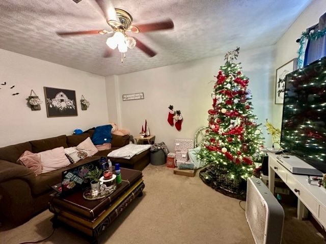 3100 W E Street, Russellville, AR 72801