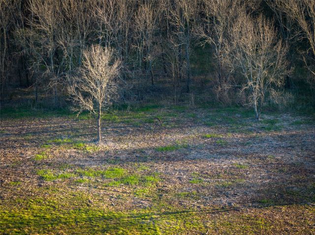 TBD County Road 3550, Honey Grove, TX 75446