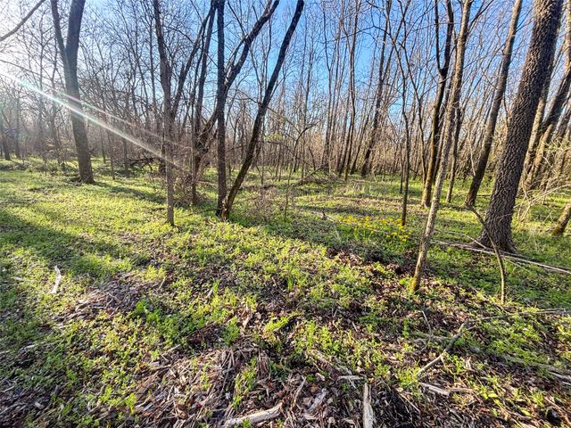 TBD County Road 3550, Honey Grove, TX 75446