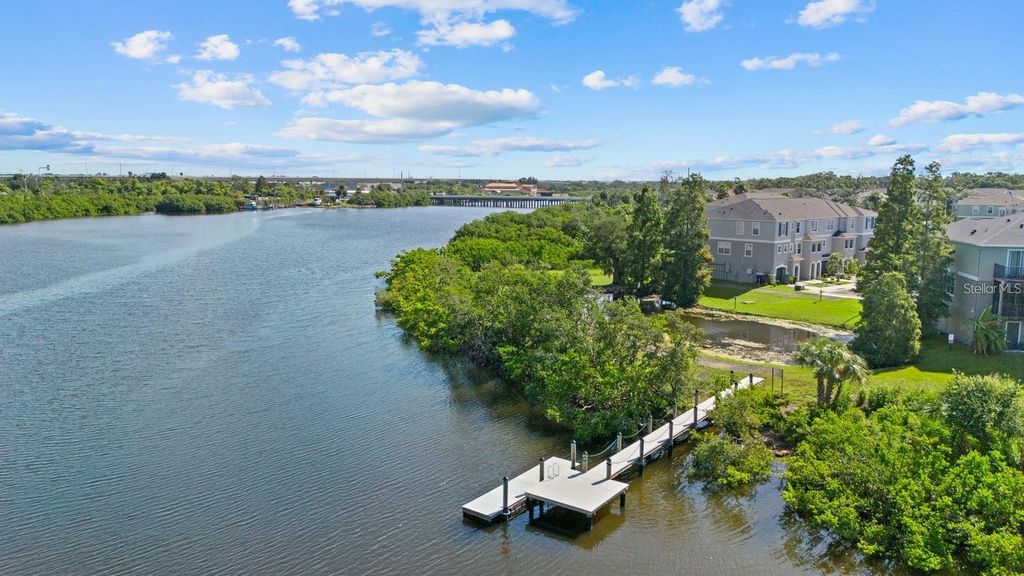 Image 41 of property listing at 809 TENNYSON MILL CIRCLE, Tampa, FL 33619