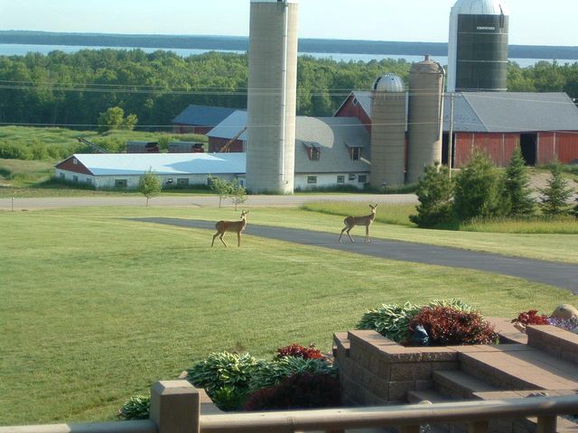 W5735 COUNTY ROAD E, Shawano, WI 54166