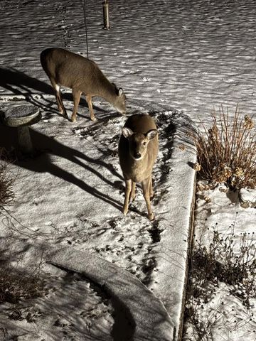 W5735 COUNTY ROAD E, Shawano, WI 54166