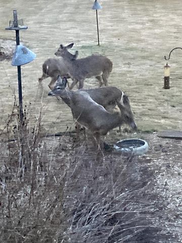 W5735 COUNTY ROAD E, Shawano, WI 54166