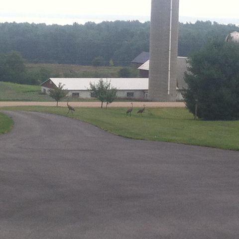 W5735 COUNTY ROAD E, Shawano, WI 54166