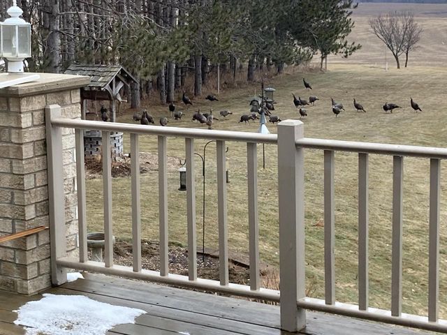 W5735 COUNTY ROAD E, Shawano, WI 54166