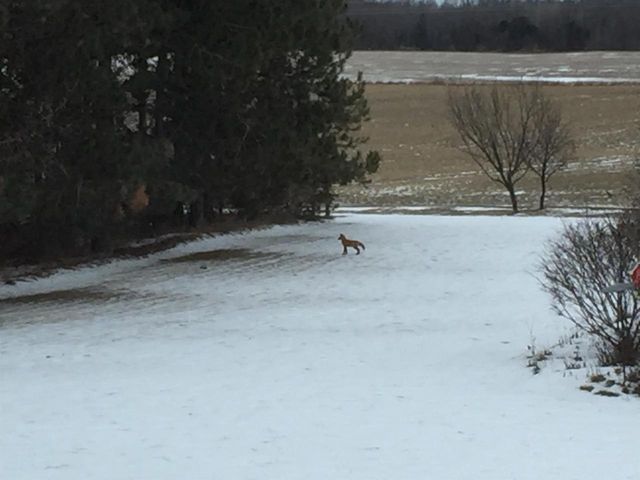 W5735 COUNTY ROAD E, Shawano, WI 54166