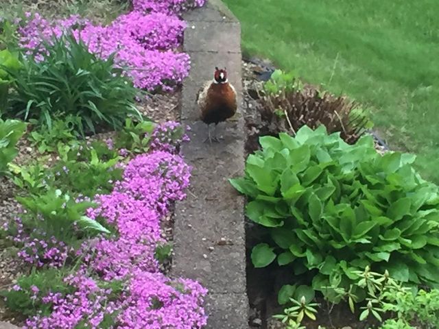 W5735 COUNTY ROAD E, Shawano, WI 54166