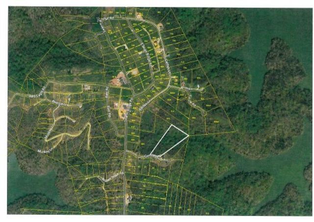 0 Goose Rd, Hilham, TN 38568