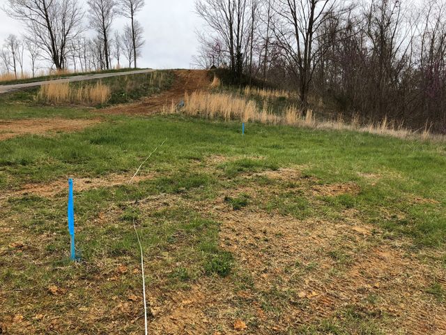 0 Goose Rd, Hilham, TN 38568