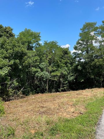 0 Goose Rd, Hilham, TN 38568