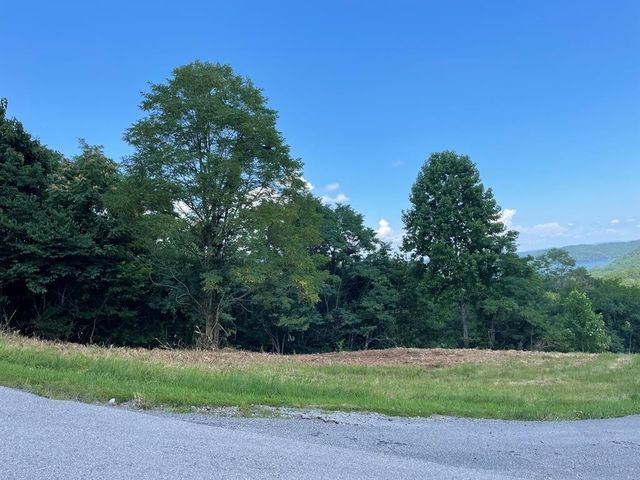 0 Goose Rd, Hilham, TN 38568