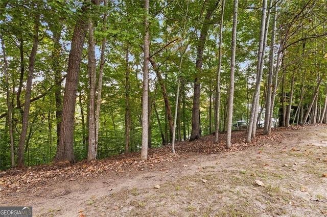 LOT 4 Fredericks Cv, Dawsonville, GA 30534