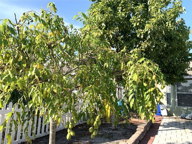 8408 CANTERBURY LAKE BOULEVARD, Tampa, FL 33619