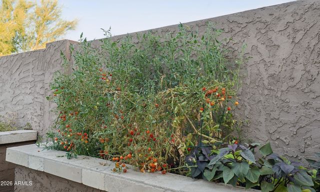 30923 N 25th Drive, Phoenix, AZ 85085